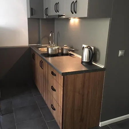 公寓 апартаментиtrembita *